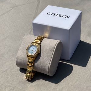 Citizen Eco-Drive wr100 watch